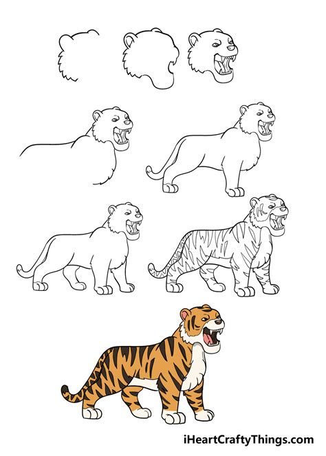 how to draw a tiger step by step|How to create a nice drawing of a tiger for beginners .